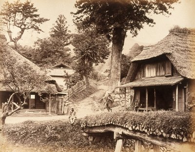 View at Eiyama by John Pardon