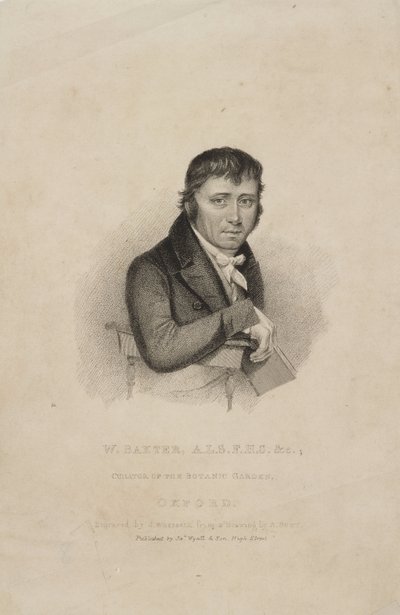 William Baxter, ALS FHS, British Botanist, c 1820s by Frederick (attr. to) Barnard