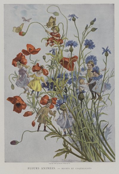 Animated Flowers: Cornflowers and Poppies by after Firmin Bouisset