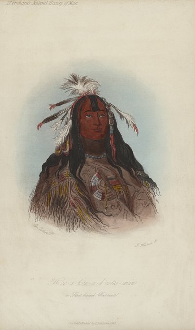 H?co-a-h?co-a-h?cotes-min, A Flat Head Warrior by after George Catlin
