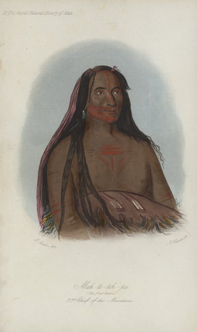 Mah-to-toh-pa, The Four Bears, 2nd Chief of the Mandans (aquatint) by after George Catlin