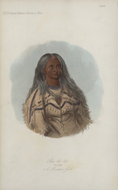 Sha-ko-ka, The Mint, A Mandan Girl by after George Catlin