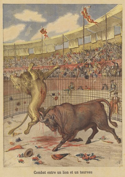 Combat Between a Lion and a Bull by after Henri Meyer