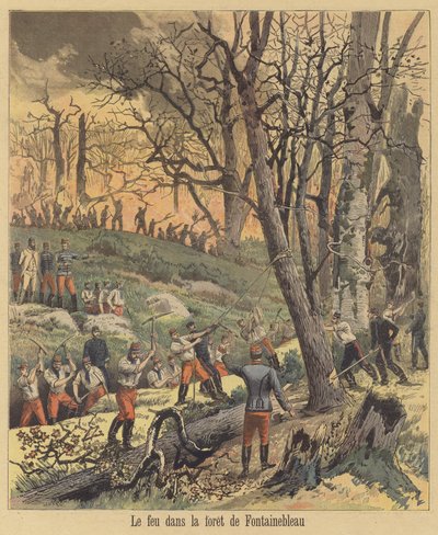 Fire in the Forest of Fontainebleau by after Henri Meyer
