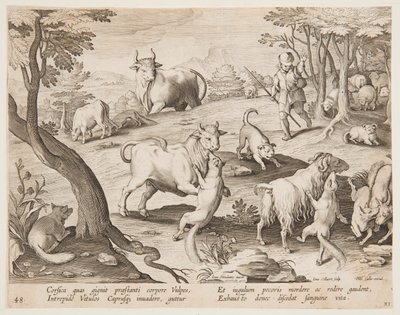 Bulls and Goats Attacked by Foxes by after Jan van der Straet, called Stradanus