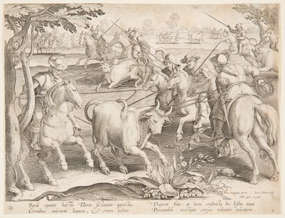 Trapping Wild Bulls by after Jan van der Straet, called Stradanus