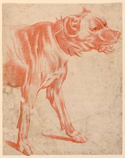 The Fore-part of a Dog by after Jean Baptiste Huet