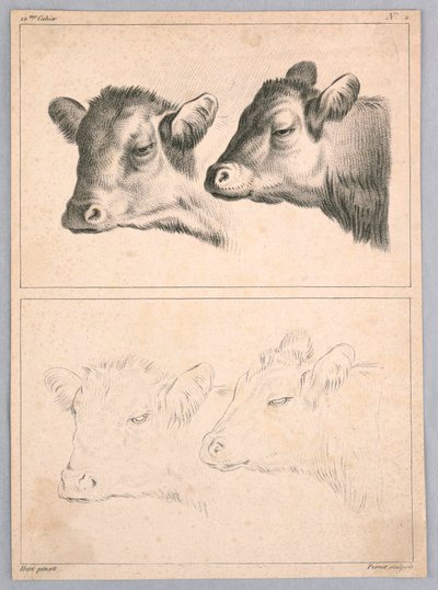 Two Cow Heads, Plate No. 2 from the 12th Study Notebook by after Jean Baptiste Huet