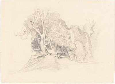 Landscape with Trees by after John Sell Cotman British 19th Century