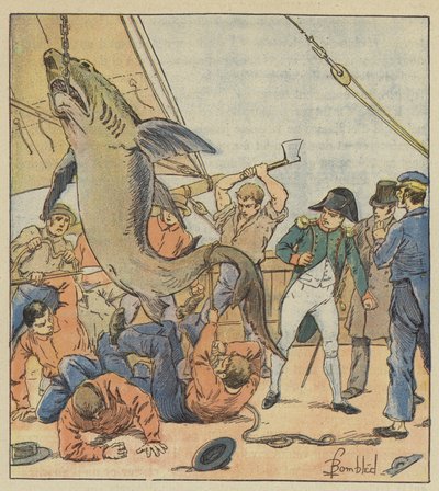 Capture of a shark by after Louis Charles Bombled