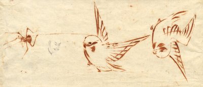Sketch Page with Birds and Spider by attributed to Katsushika Hokusai