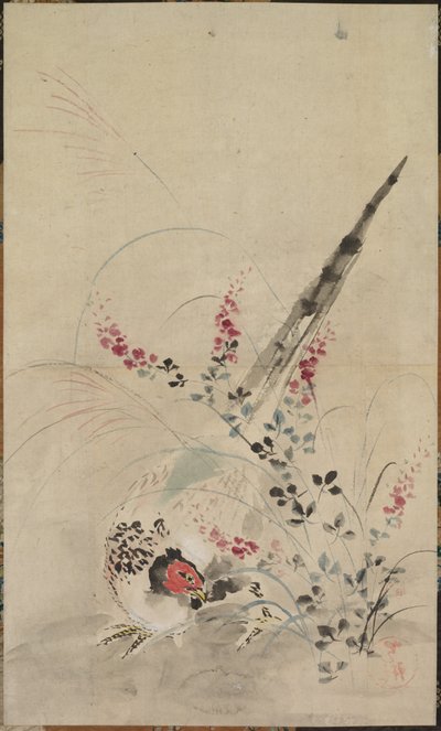 Pheasant and Grasses by attributed to Ogata Kōrin