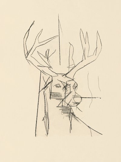 Abstract Deer Sketch by cartissi