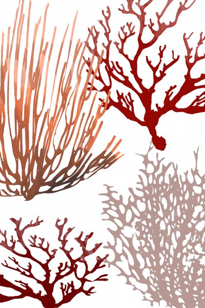 Abstract Ocean Corals by cartissi