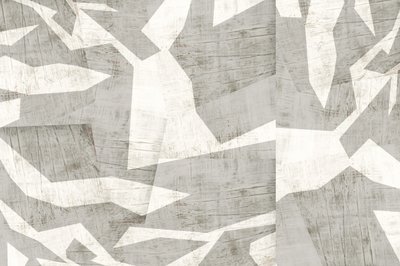 Abstract Wood Shapes by cartissi