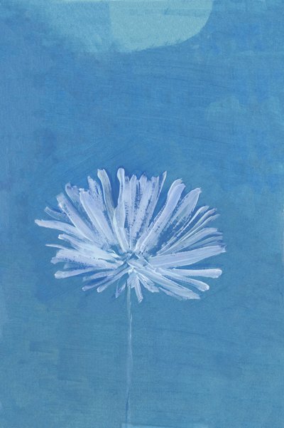 Blue Moon Flower by cartissi