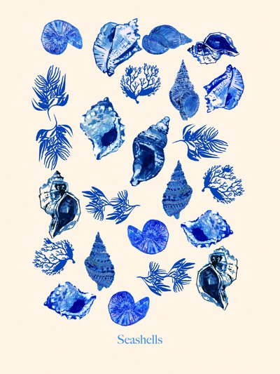 Coastal Blue Seashells by cartissi
