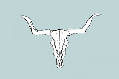 Desert Bull Skull by cartissi