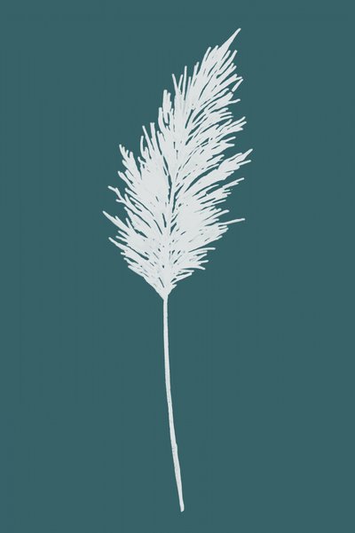 Elegant Pampas Plume by cartissi