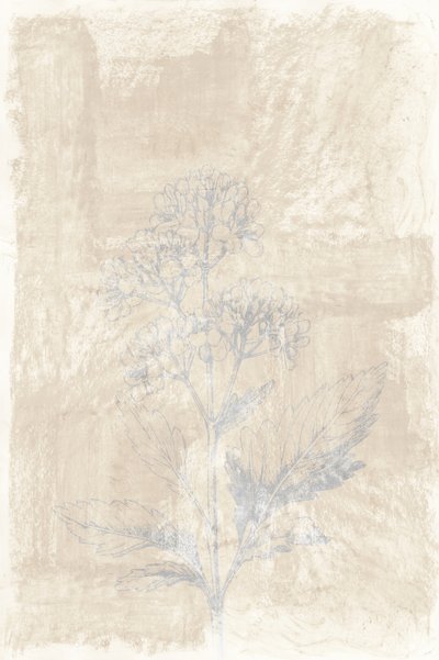 Faded Botanical Sketch by cartissi