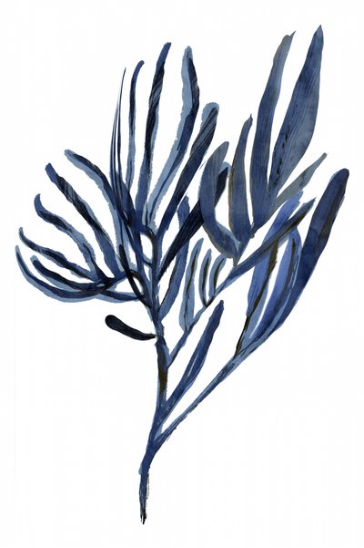 Indigo Botanical Branches by cartissi