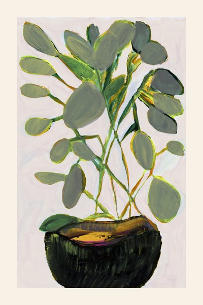 Lush Green Houseplant by cartissi