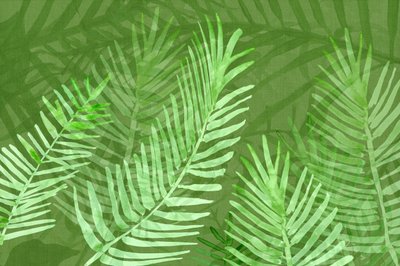 Lush Tropical Palm Leaves by cartissi
