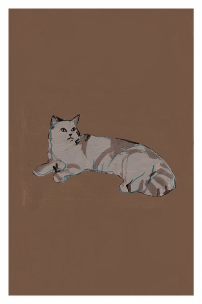 Relaxed Grey Cat by cartissi
