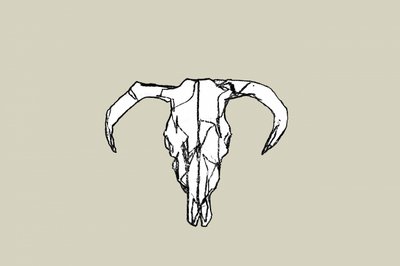 Rustic Bull Skull by cartissi