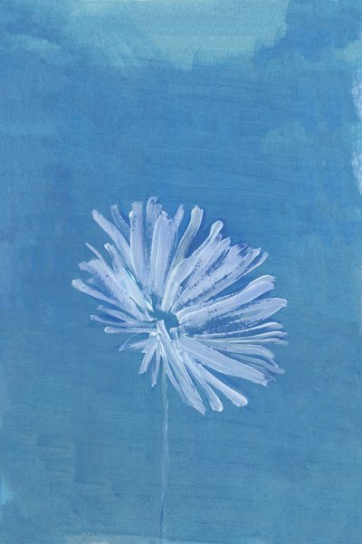 Serene Blue Bloom by cartissi