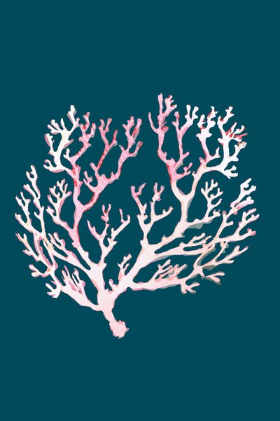 Soft Pink Coral by cartissi