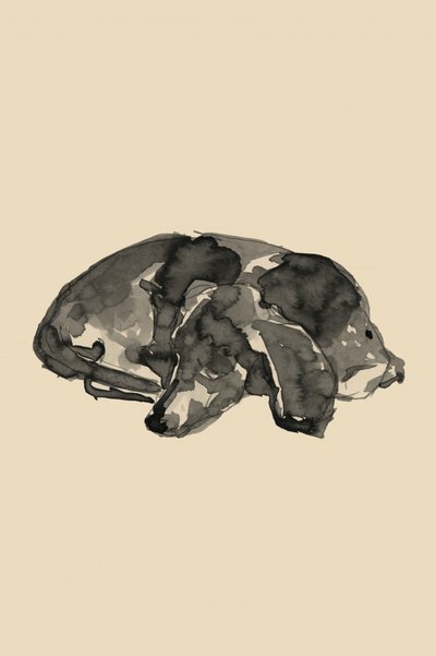 Sweet Sleeping Puppy by cartissi