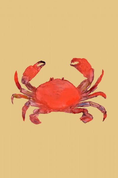 Vibrant Red Crab by cartissi