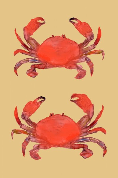 Vibrant Red Crabs by cartissi