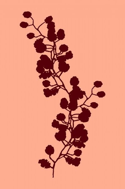 Warm Botanical Silhouette by cartissi