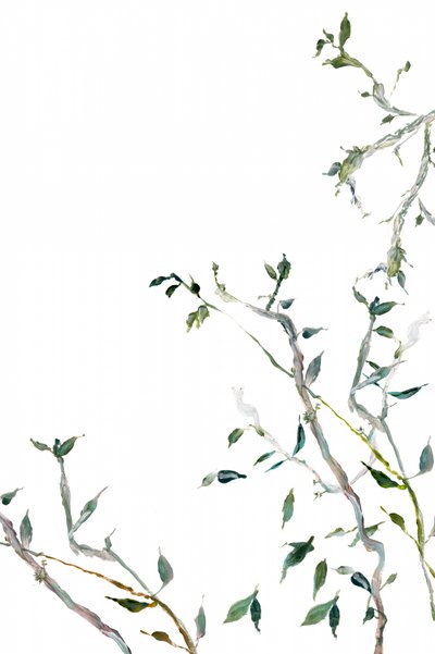 Watercolor Green Leaves by cartissi