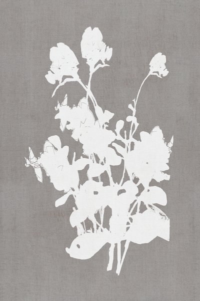 White Floral Silhouette by cartissi