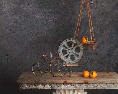 Rustic Bicycle Still Life by chenyi wang