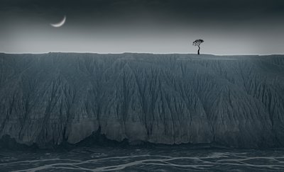 Solitary Tree Crescent Moon by chenyi wang