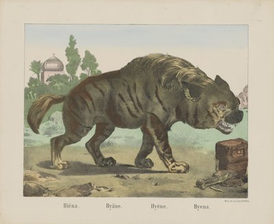 Hyena by firma Joseph Scholz