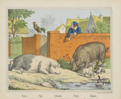 Pigs by firma Joseph Scholz