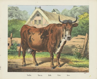 Cow (title on object) by firma Joseph Scholz