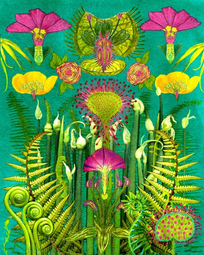 Fantasy Carnivorous Garden by giovanna nicolo