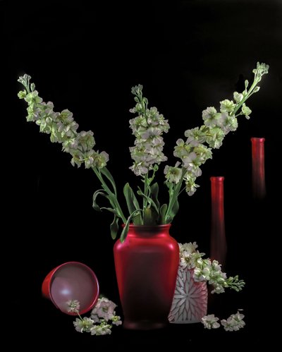Green Blooms Red Vases by jlloydphoto