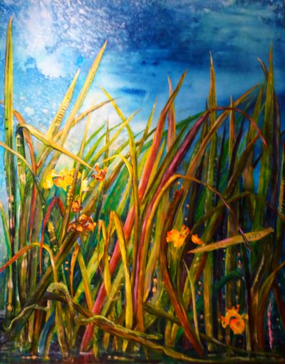Wild Iris Water Snake by jocasta shakespeare