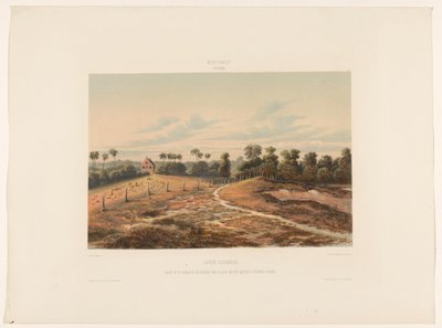 Jodensavanne. View of the Synagogue and Cemetery from the Military Cordon Path (title on object) by jonkheer Jacob Eduard van Heemskerck