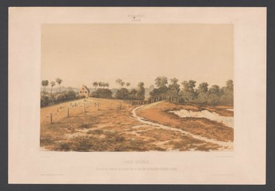 Jewish Savannah (View of the Synagogue and Cemetery from the Military Cordon Path) (West Indies) (Views from the Netherlands
