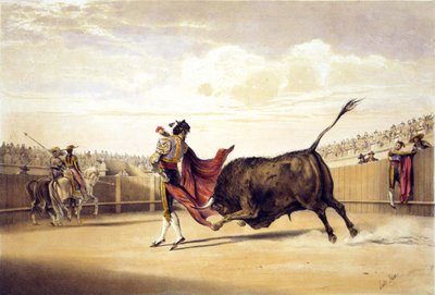 Bull charging as matador plays the cape by lake Price