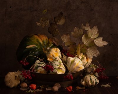 Dark Autumn Gourds by magnola