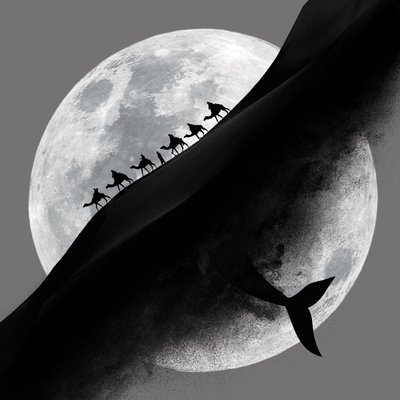 Moon Whale Desert Journey by nargesjabbari